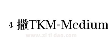 凯撒TKM-Medium