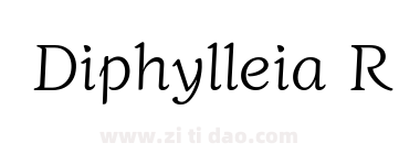 Diphylleia Regular
