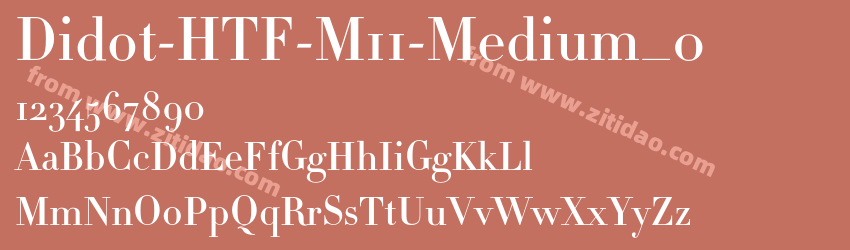 Didot-HTF-M11-Medium_0字体预览