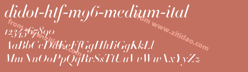 didot-htf-m96-medium-ital字体预览