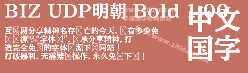 BIZ UDP明朝 Bold 1.06字体预览