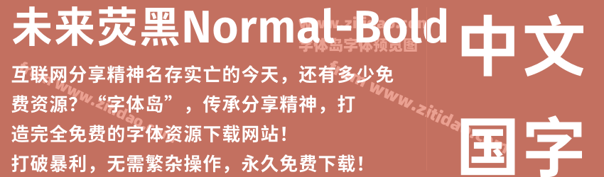 未来荧黑Normal-Bold字体预览