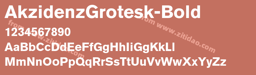 AkzidenzGrotesk-Bold字体预览