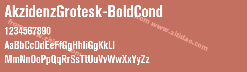 AkzidenzGrotesk-BoldCond字体预览