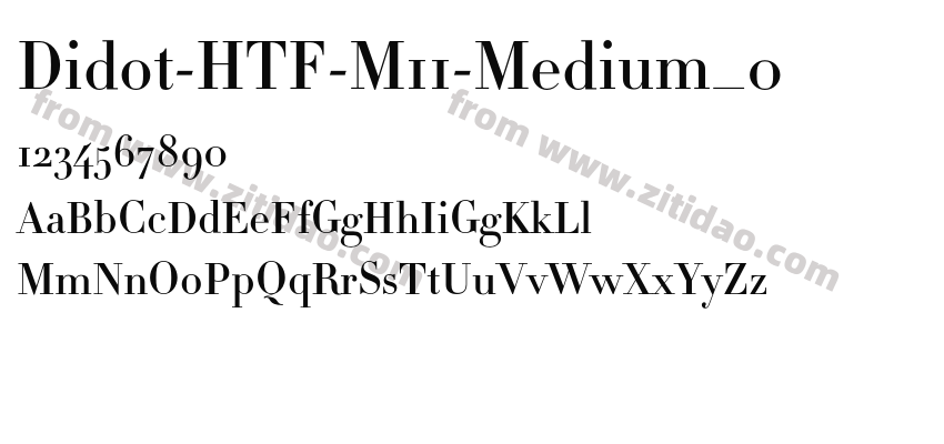 Didot-HTF-M11-Medium_0字体预览