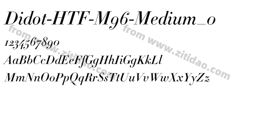 Didot-HTF-M96-Medium_0字体预览