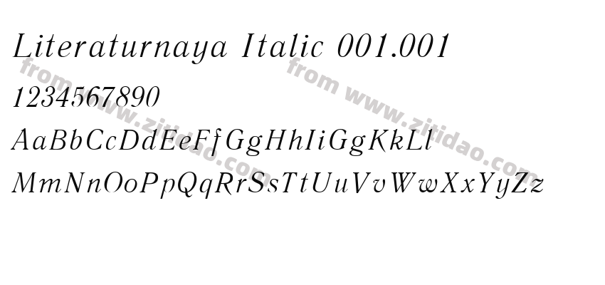 Literaturnaya Italic 001.001字体预览
